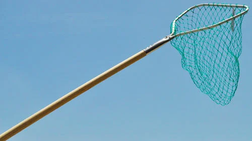 TT-LNJF-02 Landing Net