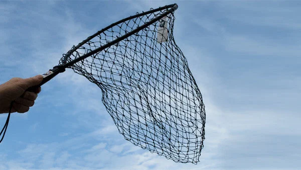 TT-LNJF-13 Landing Net