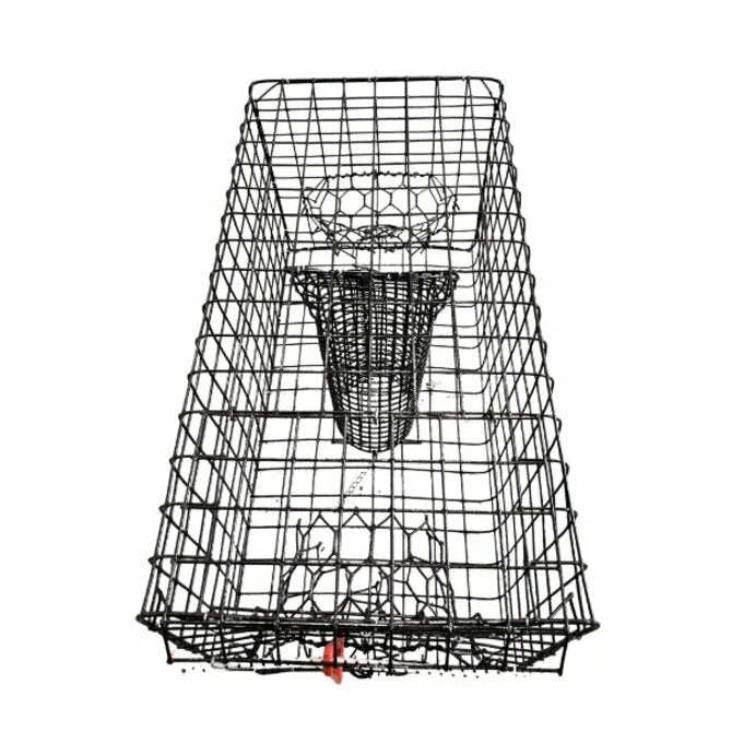 Barretts Run - Quarter Size Crab Trap