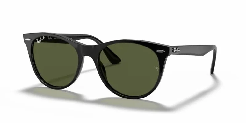 Ray-Ban Evolution Wayfarer II