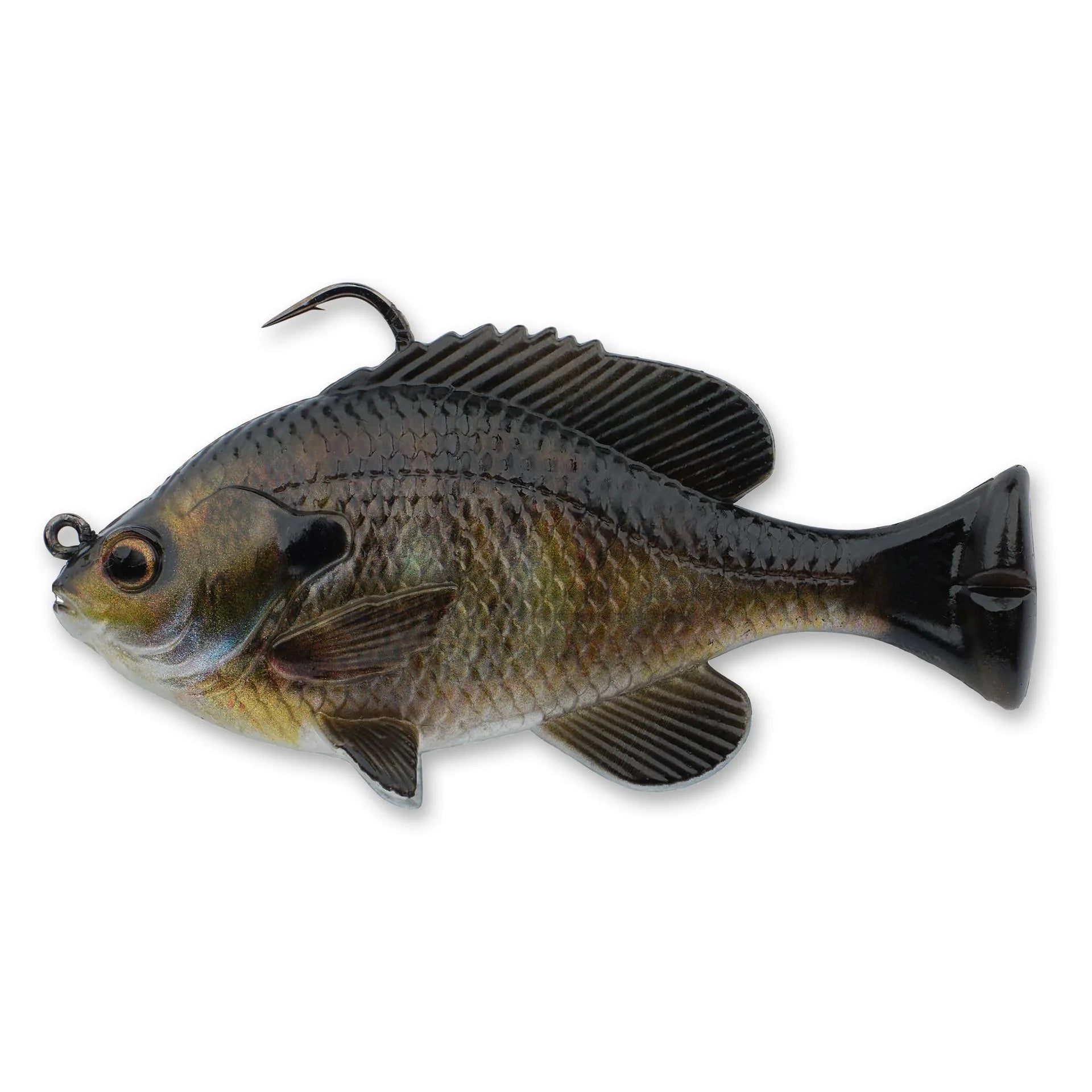 Bluegill